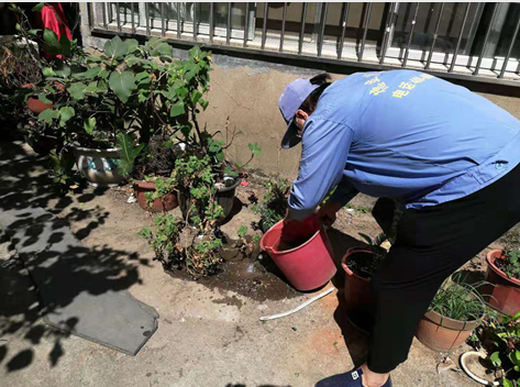 南昌市西湖區公共外環境病媒生物防制